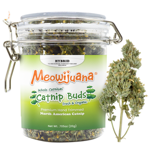 Meowijuana Catnip Buds Jar - 4 Pk/Case