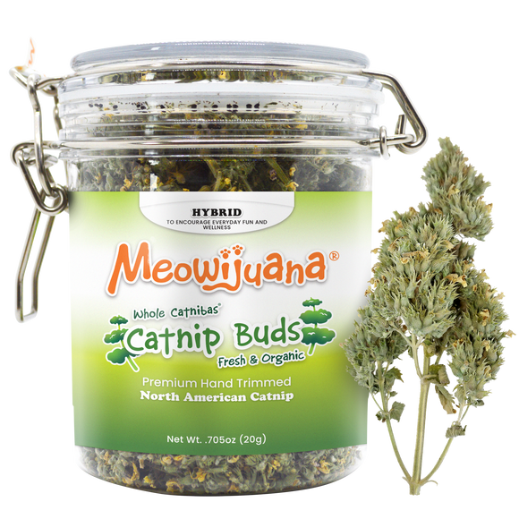 Meowijuana Catnip Buds Jar - 4 Pk/Case