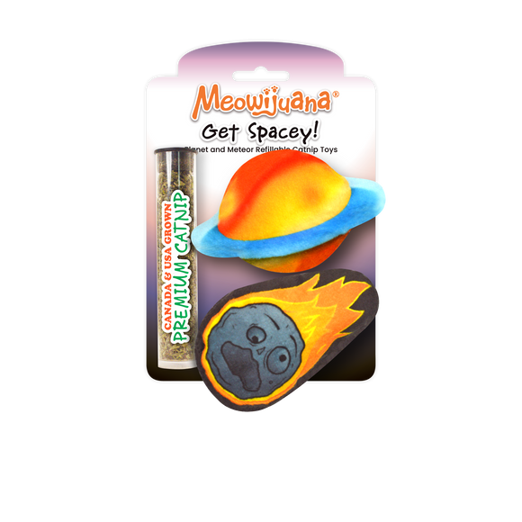 Get Spacey Planet and Meteor Catnip Toy 2-Pack