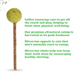 Lollies - Silvervine Sticks With Catnip - Case Pack - 12/case