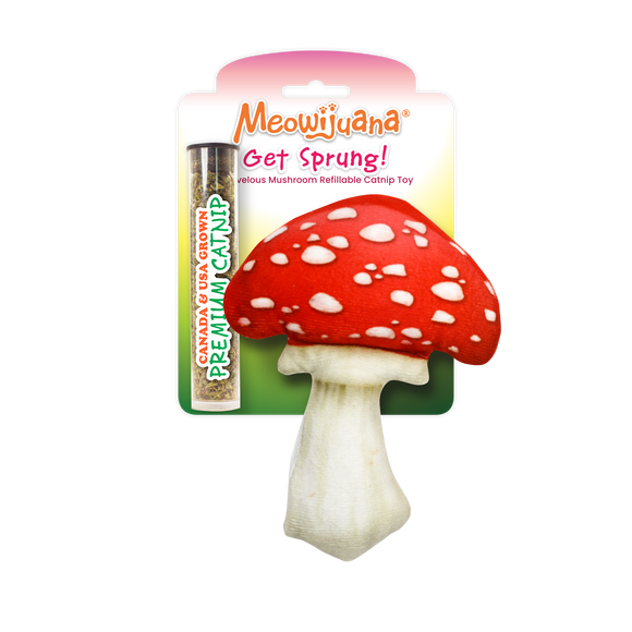 Get Sprung Marvelous Mushroom Catnip Toy