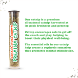 Get Sprung Marvelous Mushroom Catnip Toy