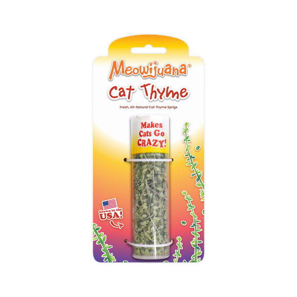 Cat Thyme Sprigs