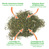 Catnip Pawty Mix with Lemongrass Jar