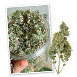 Catnip Buds Jar