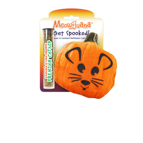 Get Spooked Pumpkin Catnip Toy - 12 Pk/Case