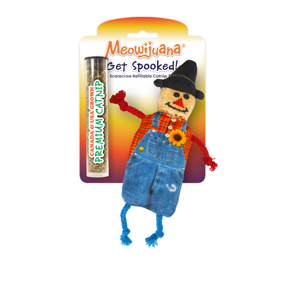 Get Spooked Scarecrow Catnip Toy