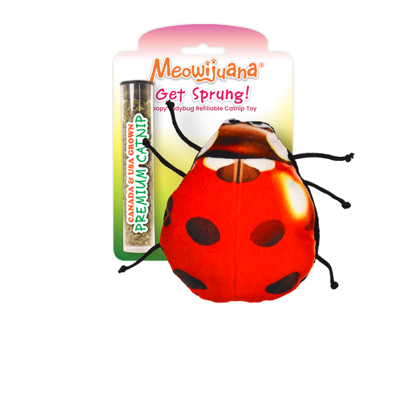 Get Sprung Lady Bug Catnip Toy - 12 Pk/Case