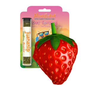 Get Sprung Refillable Strawberry - 12/case