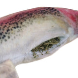 Get Smoked Rainbow Trout Catnip Toy